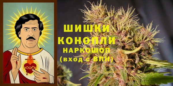 индика Горняк