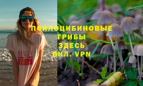 стаф Вязьма