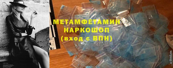 индика Горняк