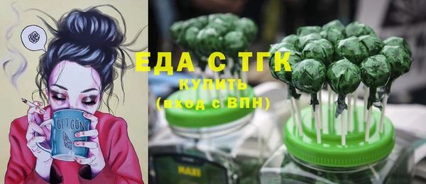 индика Горняк