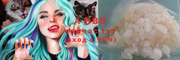 стаф Вязьма