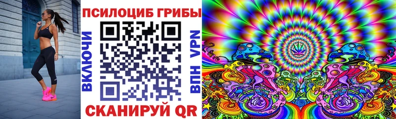 как найти наркотики  даркнет официальный сайт  Галлюциногенные грибы Psilocybine cubensis  Зарайск 